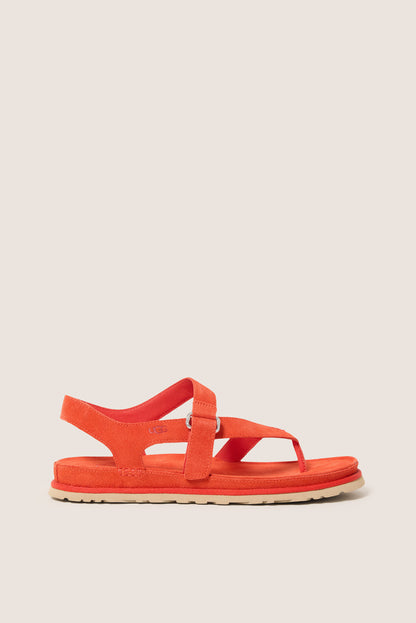 Goldgengaze Toe Post