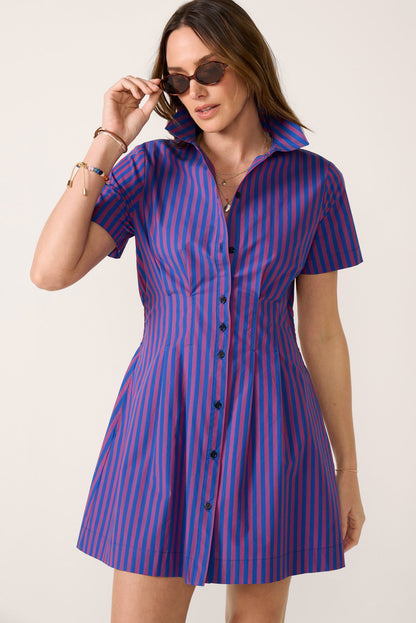 Delaney Mini Shirt Dress