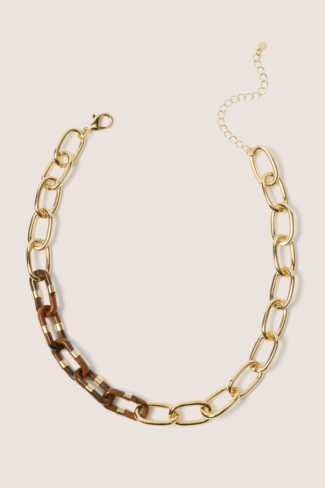 Gia Resin Link Necklace