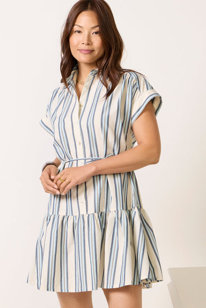 Evaline Shirt Dress