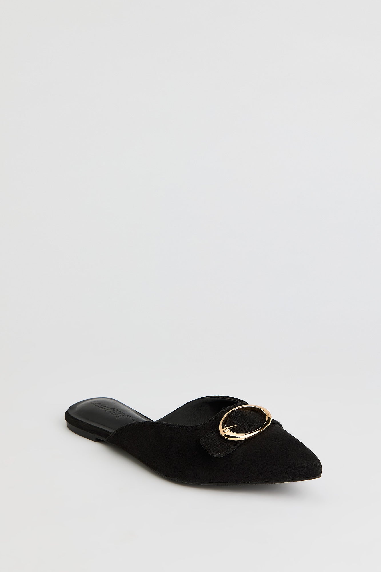 Pointed Toe Buckled Shoe