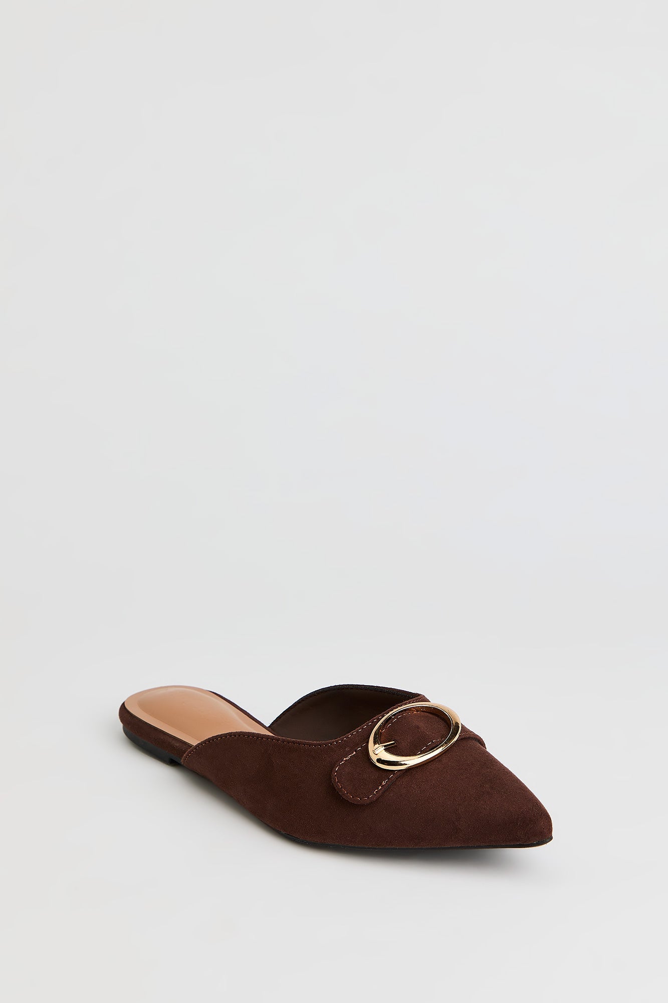 Pointed Toe Buckled Shoe
