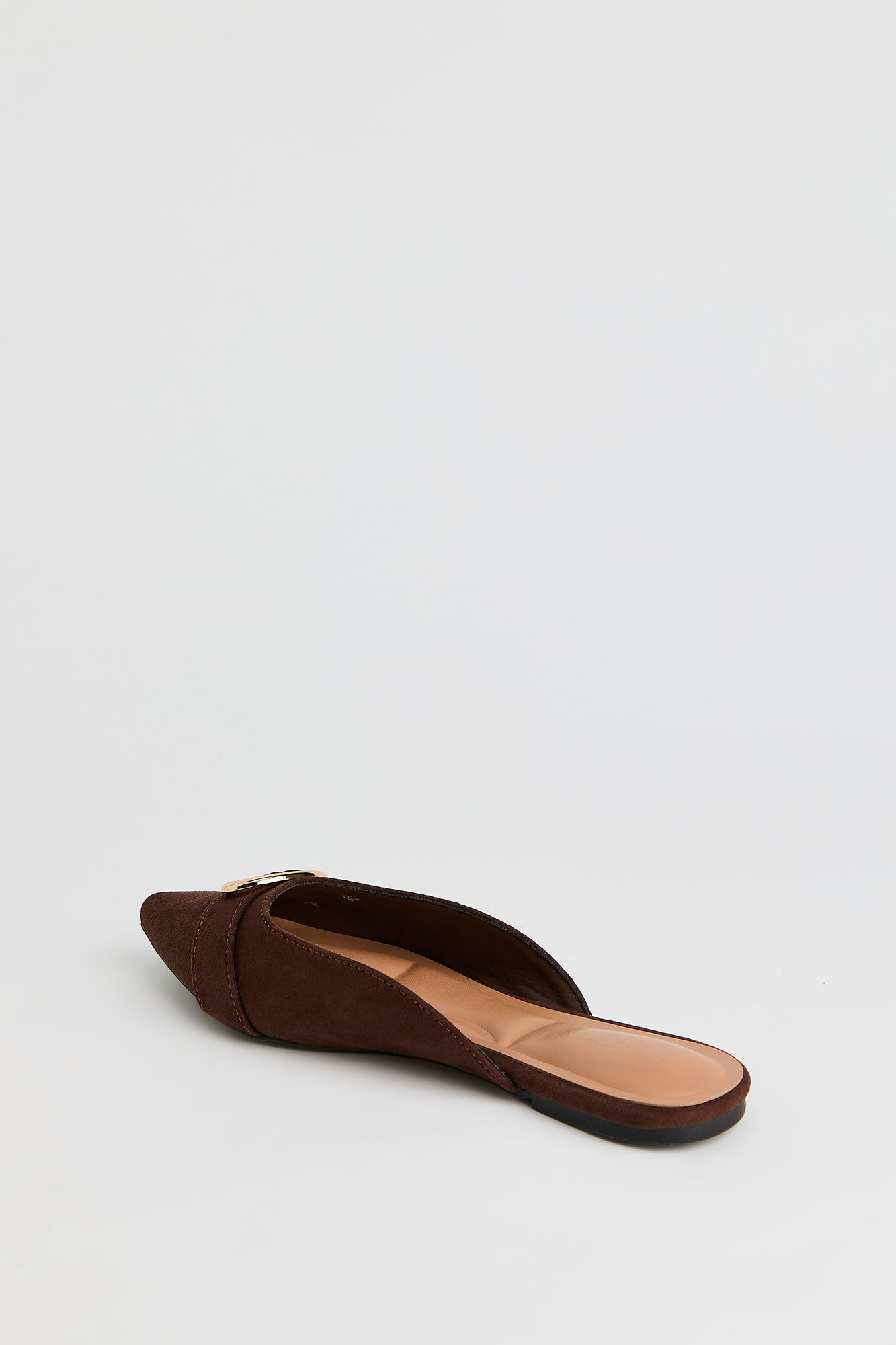 Pointed Toe Buckled Shoe