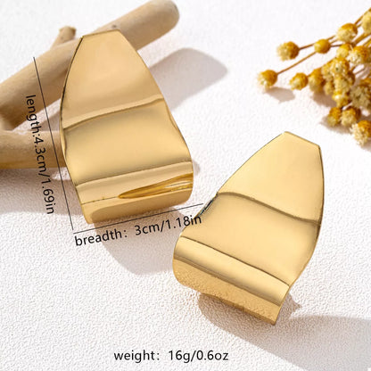 Alloy Geometric Earrings
