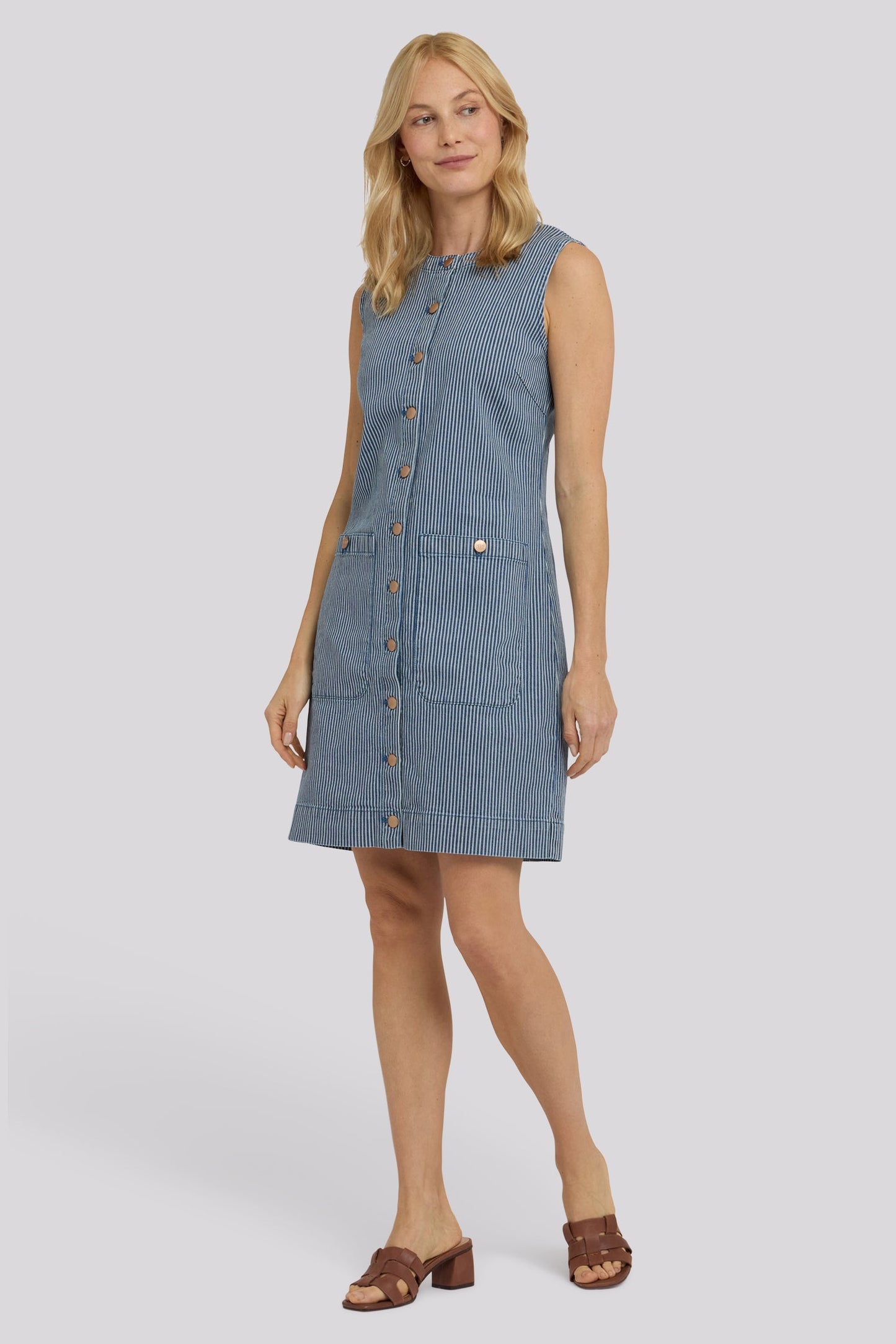 Sleeveless Denim Utility Dress - Malaga Stripe