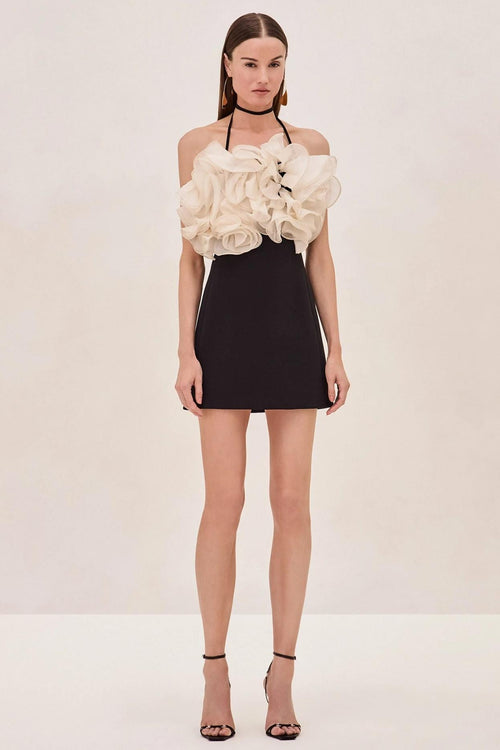 Contrast Color Ruffle Halter Neck Mini Dress