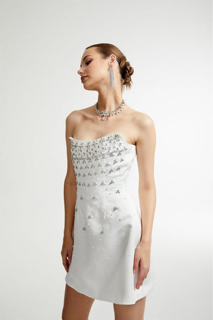 Frances Crystal-embellished Sleeveless Mini Dress
